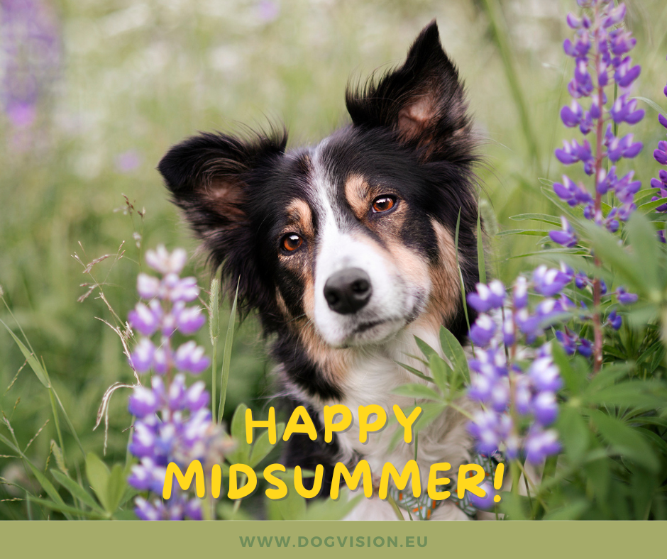 Midsummer greeting from DOGvision dog photography and blog, www.DOGvision.eu